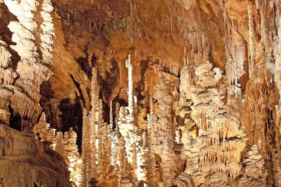 Les formations calcaires de l'Aven Armand (Lozère), dans les Cévennes