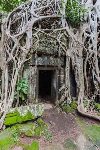 Entrée du temple khmer Ta Phrom, érigé sur le site d'Angkor au Cambodge, à la fin du XIIe siècle