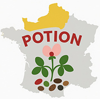 Logo projet POTION