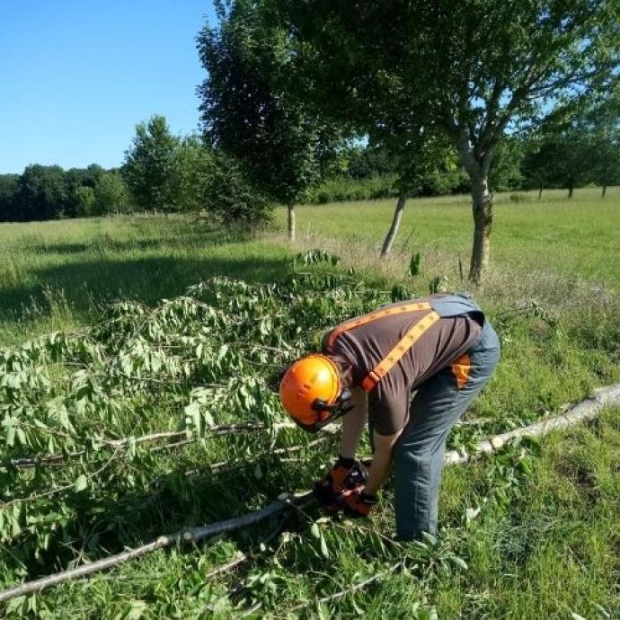 Agroforestry at UniLaSalle Beauvais