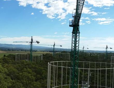 Prairies sous Plexiglas, images satellite, équations… comment les scientifiques prédisent les effets du changement climatique sur les écosystèmes