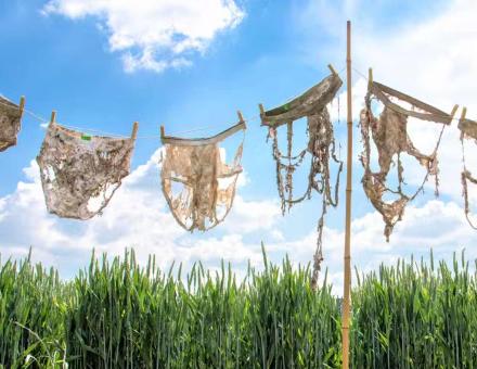 From holey underwear to tea bags, a few indicators for measuring soil health
